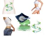 Nuciferine Lotus Leaf Extract Powder 50% Relieve Intestinal Poisoning