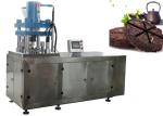 Reliable Safety Dust Proof Hydraulic Tablet Press Machine / Tablet Press For