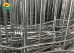 HUILONG Hinge Joint Wire Mesh , Farming Fencing Galvanised Wire Height 100CM