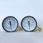 17 Bar 10 Bar Pressure Gauge 63mm EN837-1 Center Back Mount Pressure Gauge