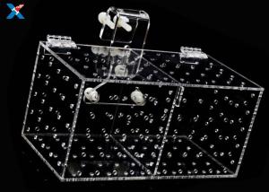 Wholesale XH-AF Acrylic Modern Furniture Acrylic Isolation Box For Aquarium Plexiglass Tropical from china suppliers