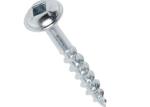 M3 Stainless Steel Metal Screws HDG Threading Self Tapping Fasteners