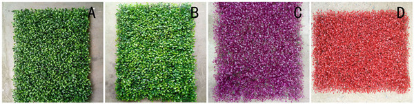 40*60cm Plastic Red Purple Artificial Vertical Garden Lawn Turf 10 Years Life Time