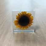 Custom Sunflower Paperweight Acrylic Globe Paperweight