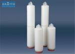 Hydrophilic PVDF Pleated Filter Cartridge Excellent Applicability With Silicone