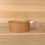 Food Grade Leakproof Customized Take Away Recyclable Grease Resistant 1015ml