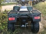 CE certified 200cc balance bar engine bike ATV quad with 800W motor and 60V