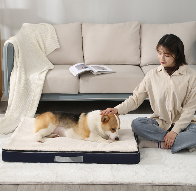 memory foam bolster dog bed