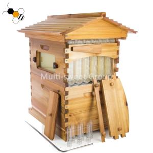 Wholesale Wooden Beekeeping 18mm Honey Bee Flow Bee Hive from china suppliers