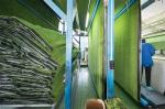 Synthetic Plastic Wall Grass Artificial Outdoor 25mm Pile Height PE PP
