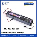 OEM ODM LiFePO4 lithium battery pack Customized Electric scooter battery 24V 36V