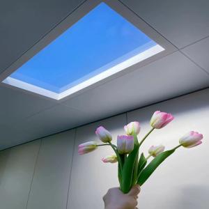 Wholesale 140° Light Direction Bright Artificial Sky Light Weather-resistant AC100-240V Power Supply from china suppliers