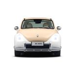 Great Wall ORA Ballet Cat Small Sedan Max Speed 155km/H Pure Electric Car For