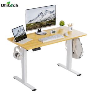 Wholesale 80 kgs 2 Stage Custom Electric Height Adjustable Computer Gaming Desk for Living Room from china suppliers