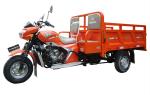 Double Passenger Seat 150CC 200CC Motorized Cargo Tricycle With Big Wheel