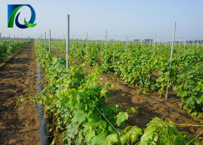 Anti Rust Metal Vineyard Trellis Posts With H Shaped Holes For 1.6-3.0MM Wire