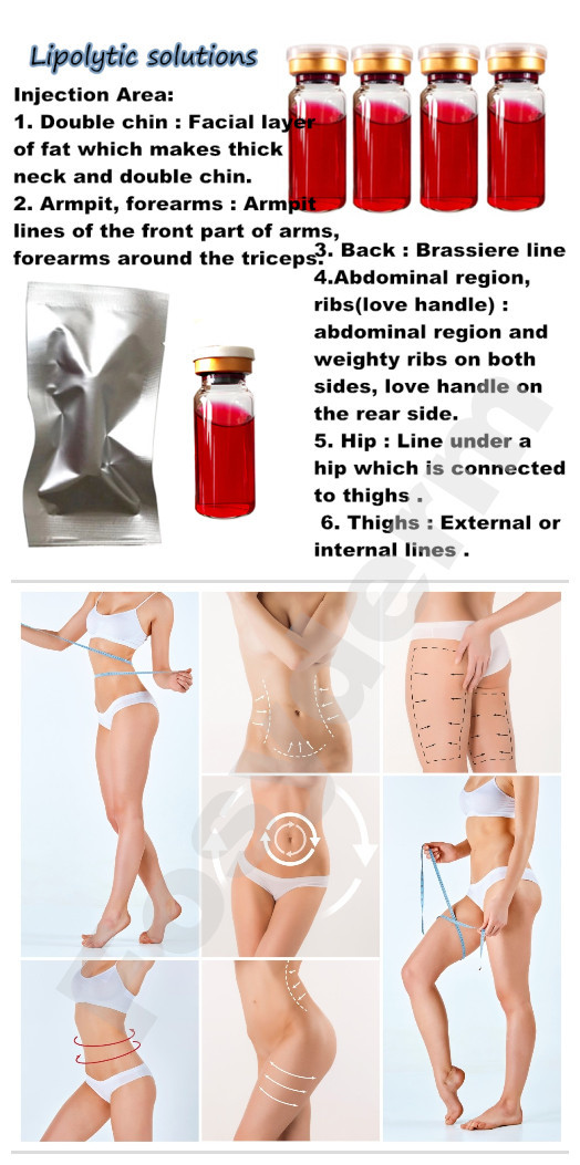 Lipolysis Injection Lipolytic Solution For Weight Loss Fat Dissolving 10ml / Vial
