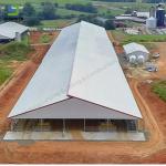 Prefabricated Steel Structure Dairy Cow Shed Poultry Farm For Livestock Farming