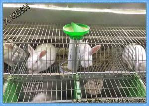 Wholesale Welded Wire Mesh Fencing Panels Rabbit Battery Cage 3 Or 4 Layers from china suppliers