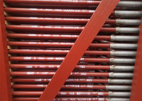 ASME Standard Welded Superheater And Reheater Biomass Carbon Stainless Steel