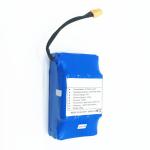 36V 4.4Ah Lithium Battery Rechargeable Battery Pack One Year Warranty