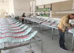 Customized Window Display Decorations Fiberglass Wing Artificial Fake Wing