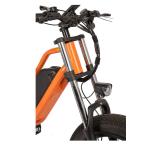 48V Electric Bike with 13Ah Battery 750W 1000W Motor 7 Speed 20" Tire and 180KG