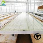 Ebb Flow Hydroponic Mobile Hydroponic Soilless Culture Grow Tables Rolling Bench
