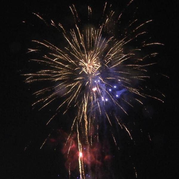Chinese Factory 100 Shots Cake Fireworks Pyrotechnics For New Year Fireworks 1