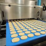 Width 400mm SS304 Cookies Wire Cutting And Dropping Machine
