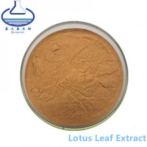 Nuciferine Lotus Leaf Extract Powder CAS 475-83-2 for Food Additive