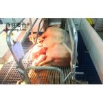 Roller Door Roofing Wall Detachable Steel Frame Structure Building Piggery House