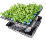 PE Foam Greenhouses Waterproof Cloning Collar Foam