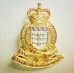 pin badges, lapel pin, football pin, emblem, enamel badge, printing badge,