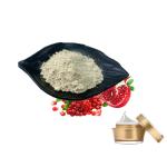 Health Care Pomegranate Peel Extract Water Soluble Powder Ellagic Acid 40%