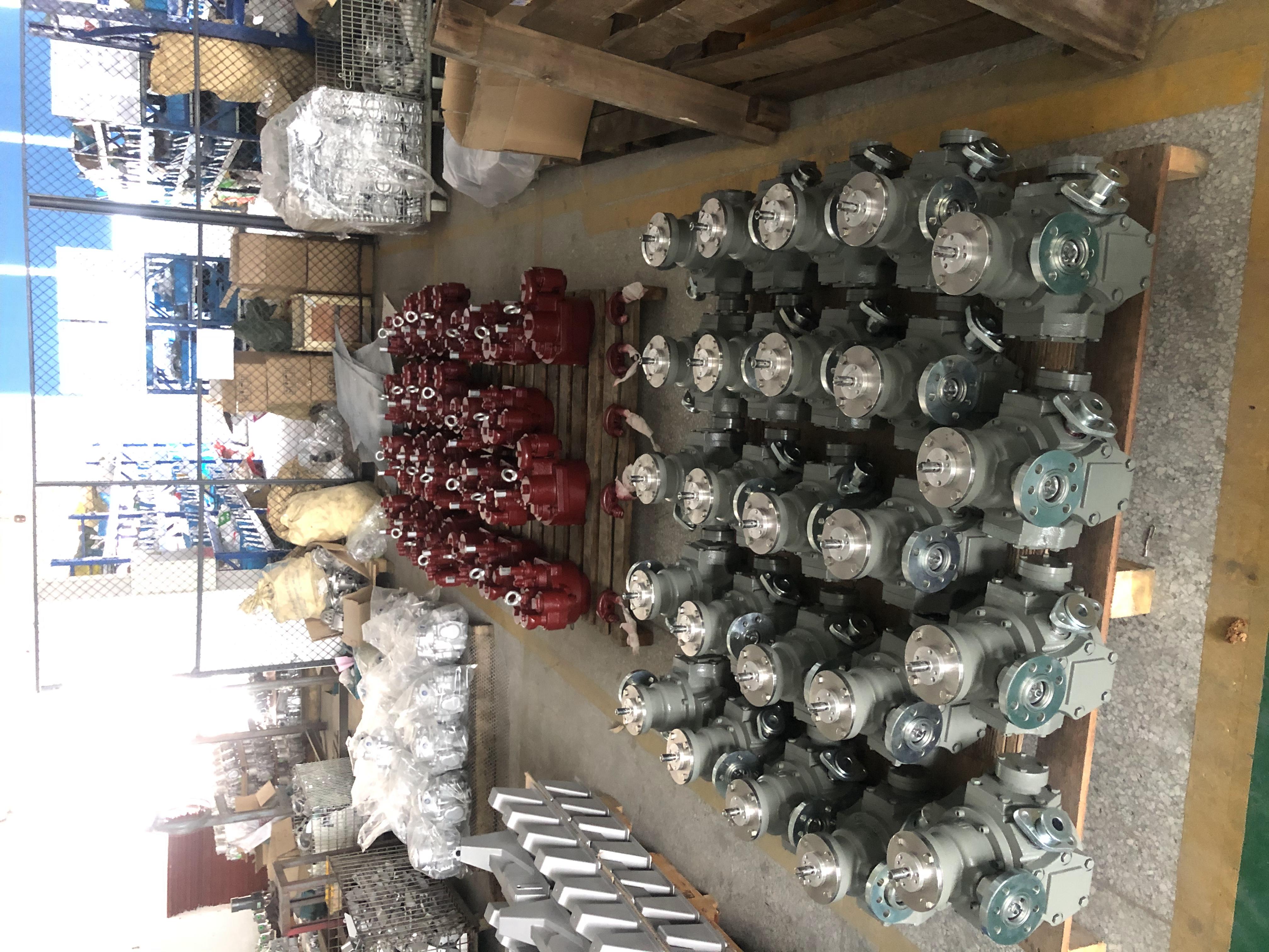 OEM Iron Steel LPG Dispenser Flow Meter FM65T