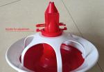 A feeding dish for ducks and geese