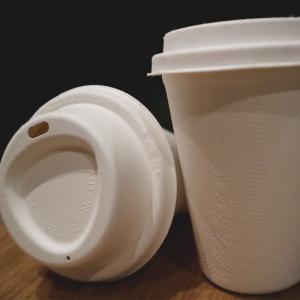 China Molded Biodegradable Sugarcane Bagasse Disposable Cups With Lids on sale