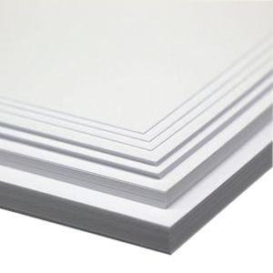 Wholesale 250gsm-400gsm Coated C1S Ivory Board Paper FBB Folding Box Board For Packaging from china suppliers