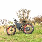 72V 3000W E Fat Bike TFT 750C Color Display With Aluminum Frame