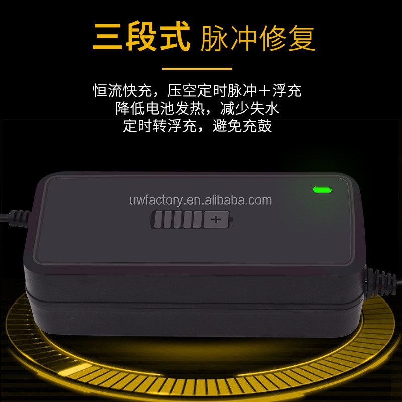 12V/24V 6A 12V/24V 5A 8A 10A 12A 20A Motorcycle Car Battery Charger with LCD Display and Pulse Repair Function EU US UK