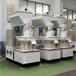Pellet Wood Chip Biomass Briquetting Machine Peanut Shell Biomass Fuel Equipment