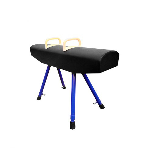 Fig Approval Gymnastics Artistic Gymnastics Double Pommel Training Pod
