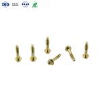 Custom M4 Carbon Steel Yellow Zinc Phillips Hexagon Flange Head Dog Tail Screws