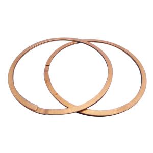 Wholesale FK3 IS Series FEY Single Turn Laminar Sealing Rings For Roller / Plain Bearings from china suppliers