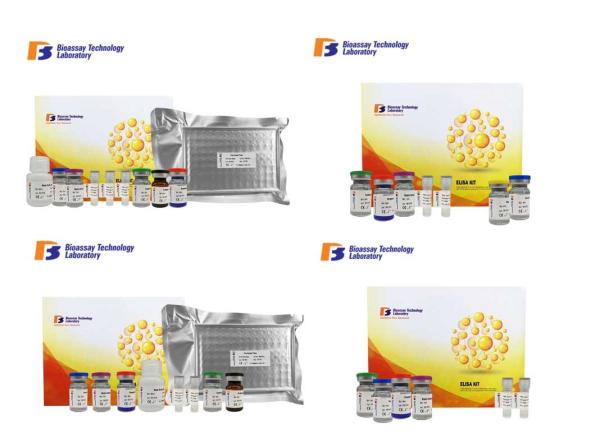 Cytosolic Carboxypetidase 3 Sandwich ELISA Kit For Accurate Quantitative