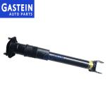 2513202231 Rear Suspension Shock Absorber For Mercedes W251 V251