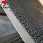 Composite Drainage Network Geonet Core 5mm-12mm for Long-Lasting Drainage
