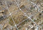 25.4mmx44mm ferrule Wire Rope Net Garden Fence Mesh