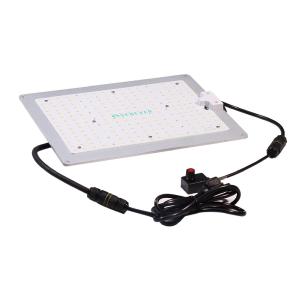 Wholesale Blue Waterproof IP65 AC240V Hydroponic Grow Light from china suppliers